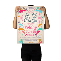 Cartel A2 (594mm x 420 mm)